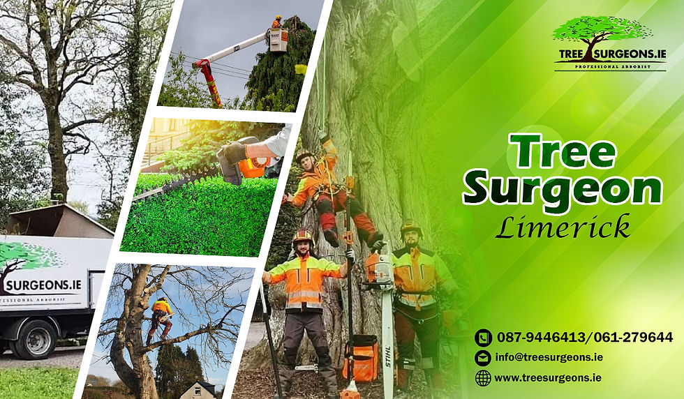 Tree Removal Professionals: Safeguarding Your Home and Yard