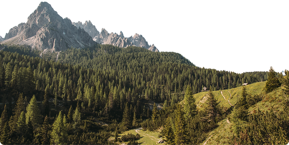 шлях з коучем