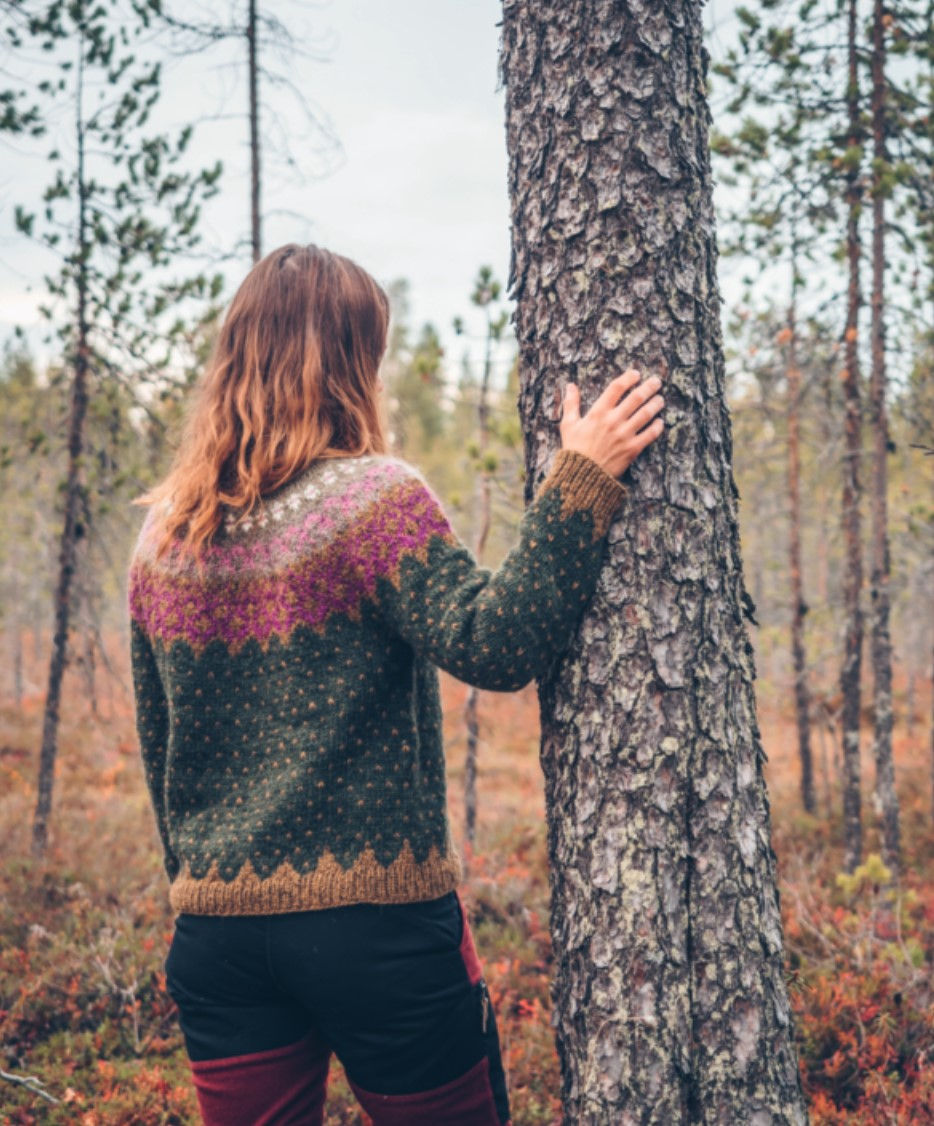 サムネイル： Isländisch Stricken Anleitungsbuch