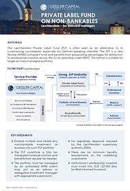 Liechtenstein Fund Solutions - PLF on Non-Bankables V3 - Licensed client.jpg