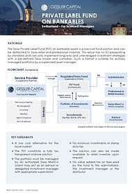Swiss Fund Solutions - PLF on Bankables V5.jpg