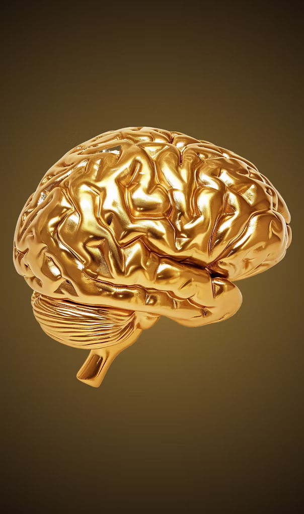 gold brain 3.avif