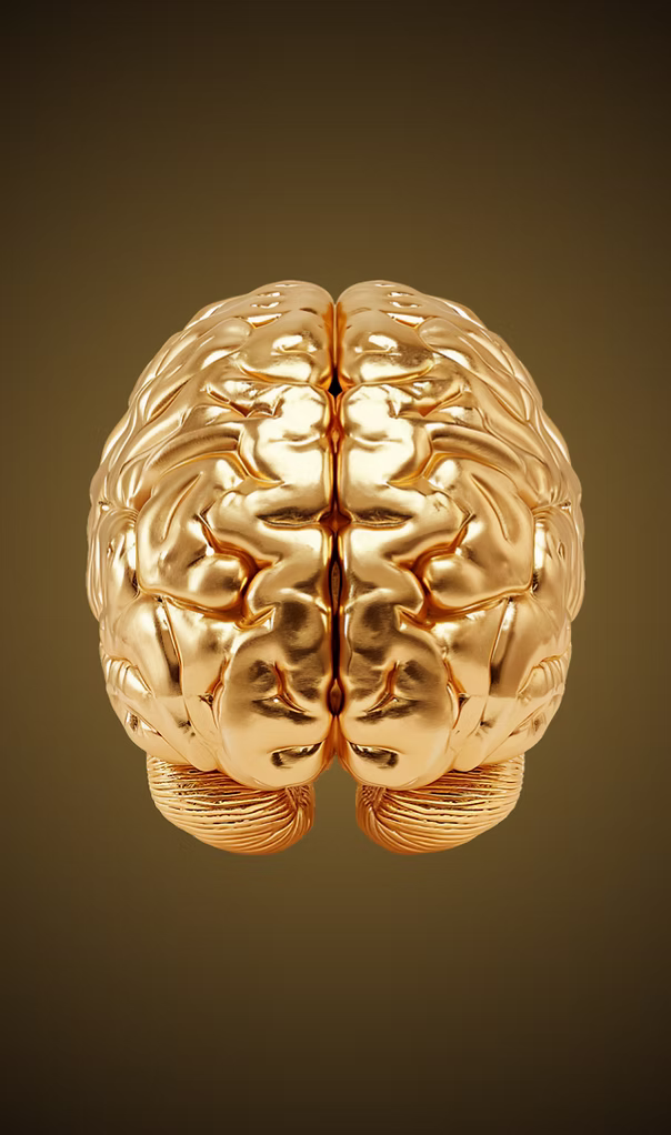 gold brain 2.avif