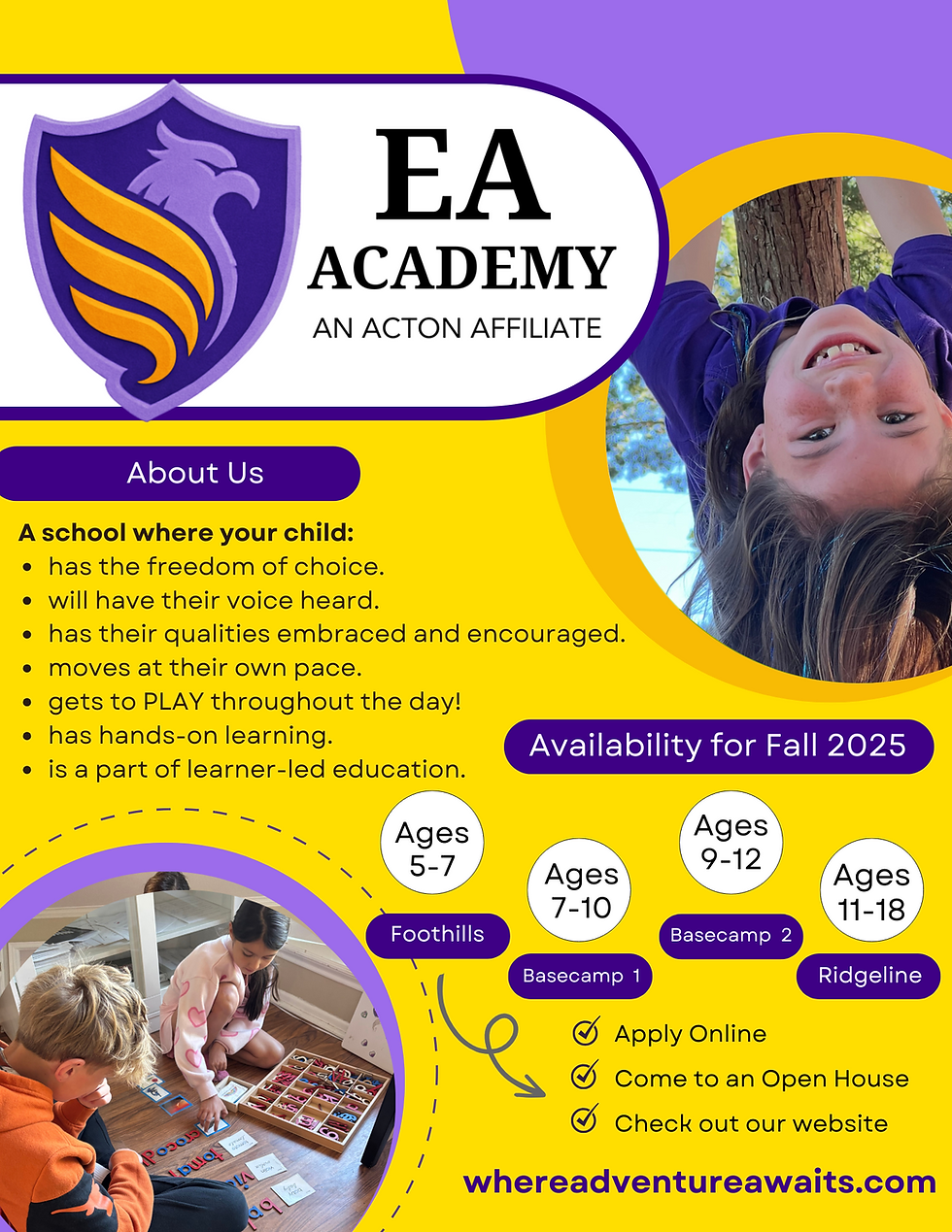 EA Academy