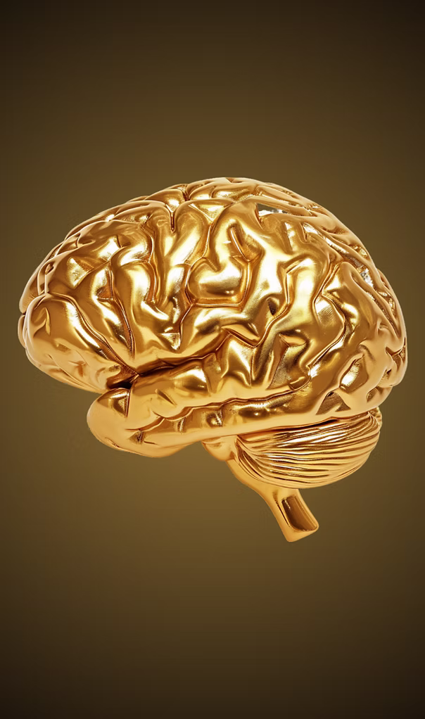 gold brain 1.avif