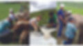 Untitled-1 copy.jpg
