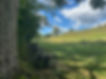 IMG_1102.jpeg
