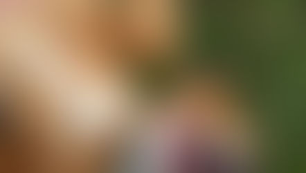 Belly Rub or Back Off?