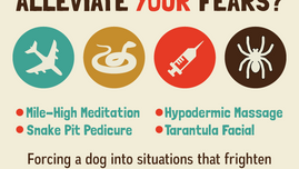 "Get Used To It": Forcing Dogs to Face Their Fears