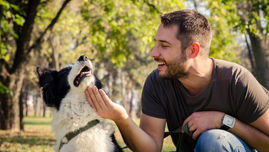 Look for the Look Away