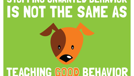 Stop Bad Behavior