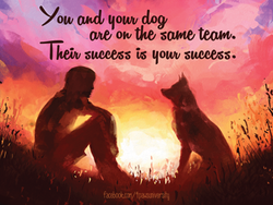 You and Your Dog: Working as a Team