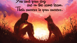 You and Your Dog: Working as a Team