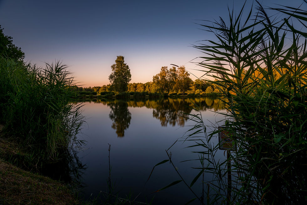 DSC_4907 AUDREY VERRIER PHOTOGRAPHE PARC DES BRUYERES (2)