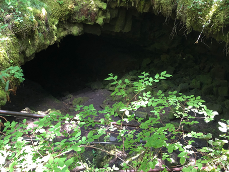 Entrance to the Ape Caves ... dare to venture?