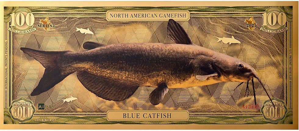100mg Blue Catfish Aurum