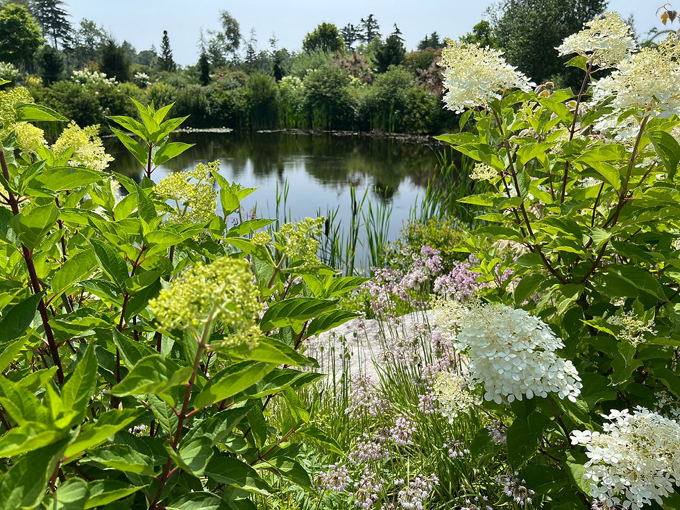 The garden spaces are tranquil and fragrant.