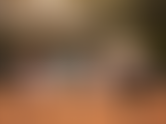 tennis players on the court