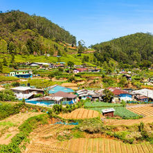 The task of becoming self sufficient in paddy. Why go to Malaysia: Look at the past- to the Seventies when were became Self Sufficient