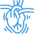 heart (2).png