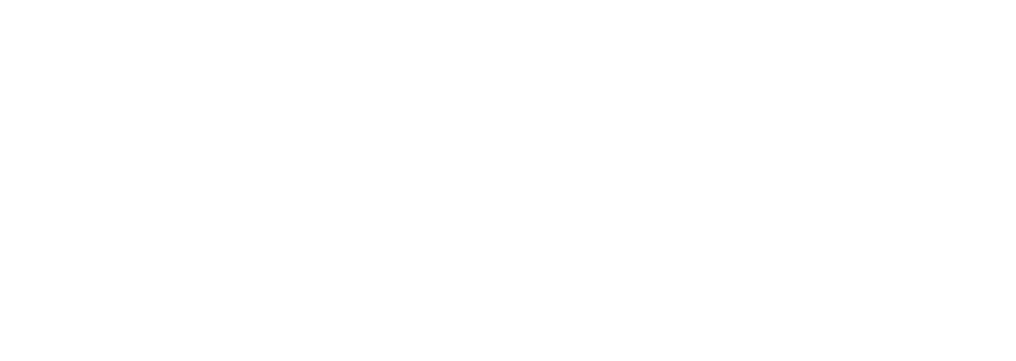 Nestis-Logo-White-Nopayoff.png