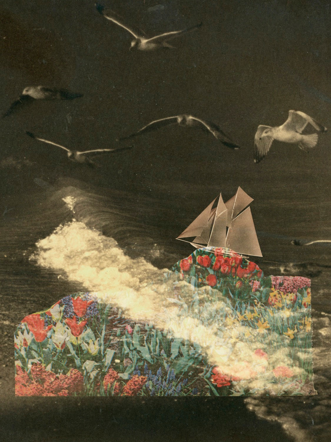 Sea of flowers