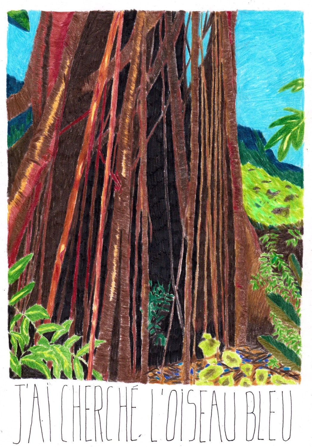 « J’ai cherché l’oiseau bleu »
