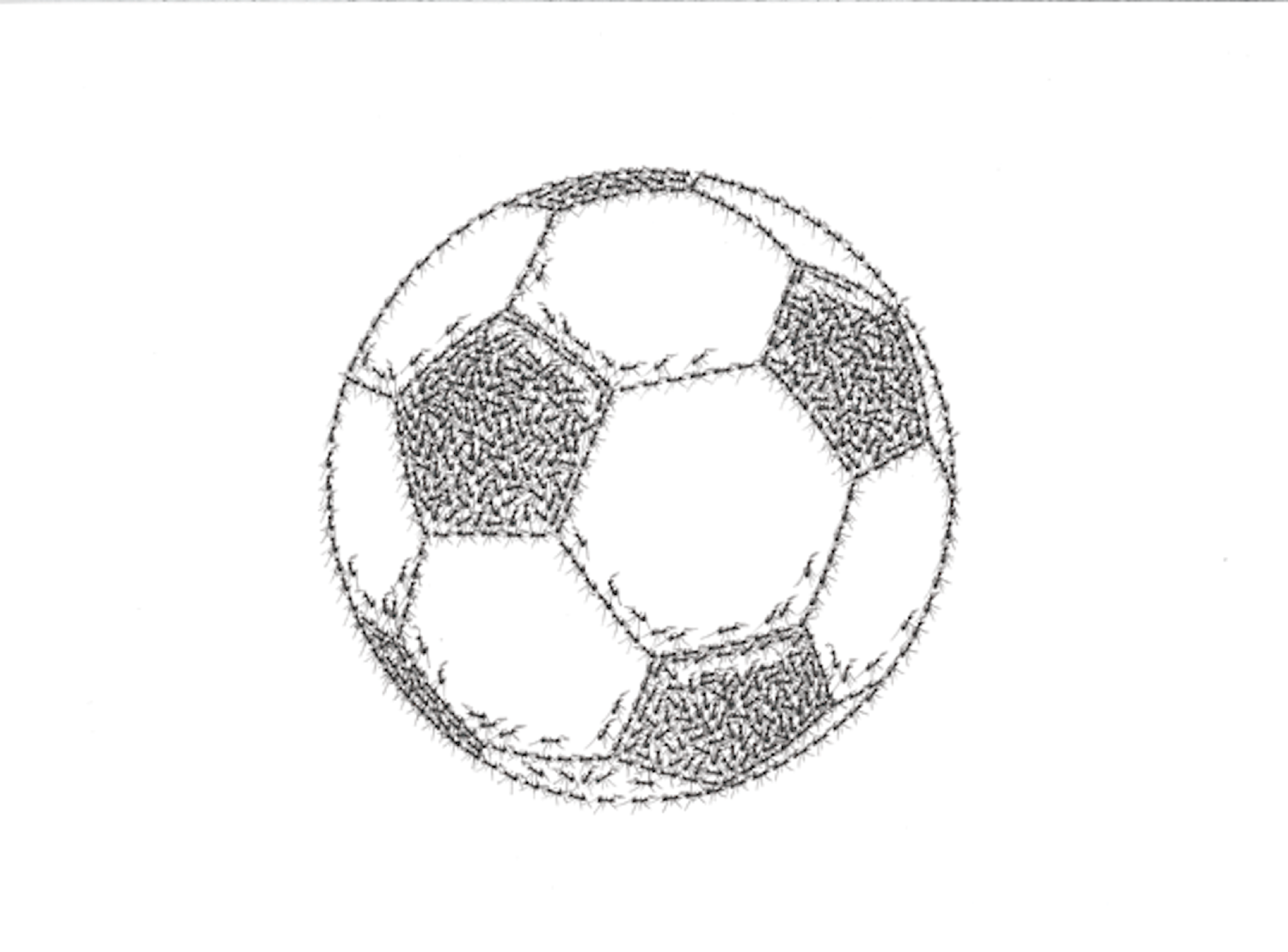 Football - Cyril Houplain