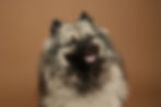 image00011.jpeg