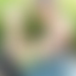 How to help your child grow and develop as a stay at home mum