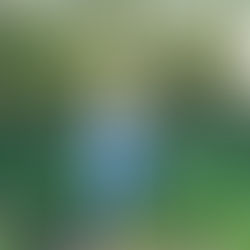 Keeping safe in the world of Social Media