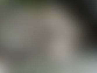3・4月講座予定一覧^^