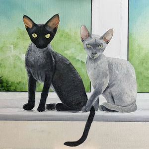 Animals and People