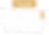 phd text.png
