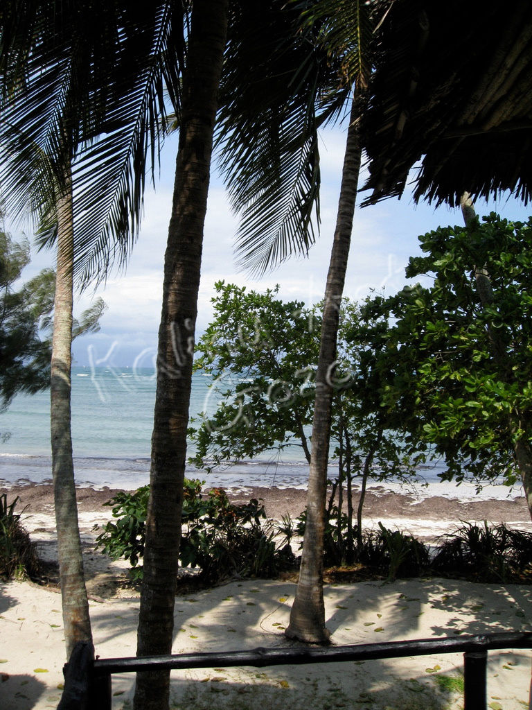 Mombasa rest