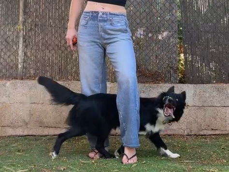 The last days of summer