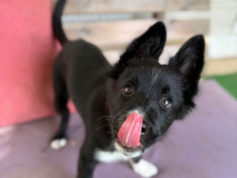 The Days After Coming Back