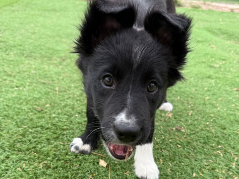 Who’s afraid of the dark?