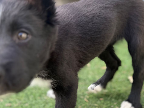 Ignoring the environment