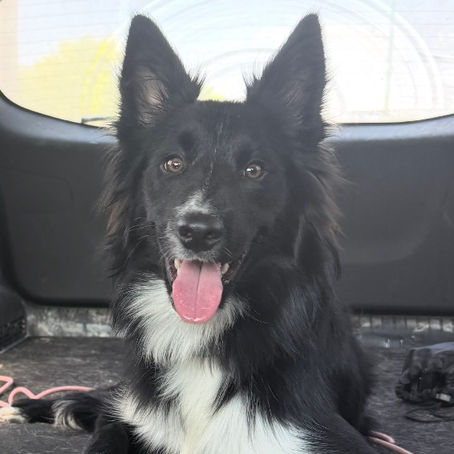 It’s all good until it’s not!