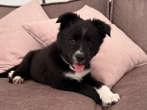 Our first day together!