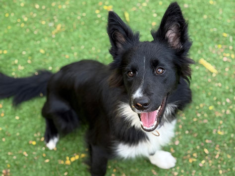 The Things That Really Matters