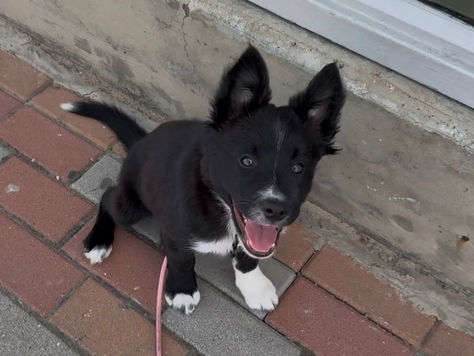 Going to the train station!