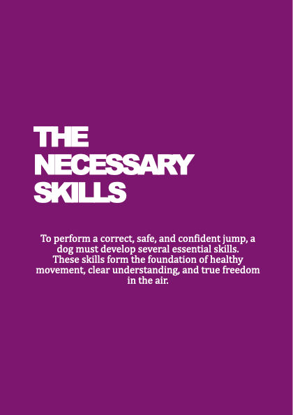 Thumbnail: The Freedom To Jump - Full Manual