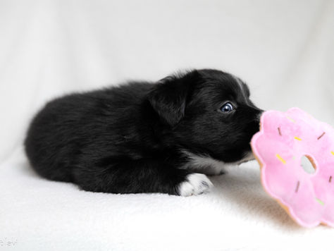 Seraphina's first (real) session