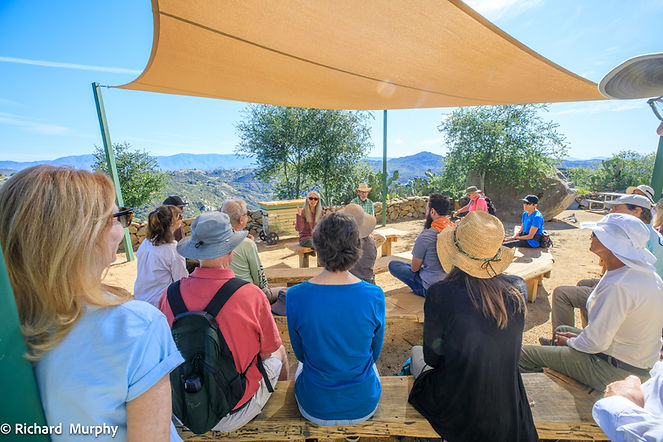 02 W to W Mountain Meadow 20260404.jpg