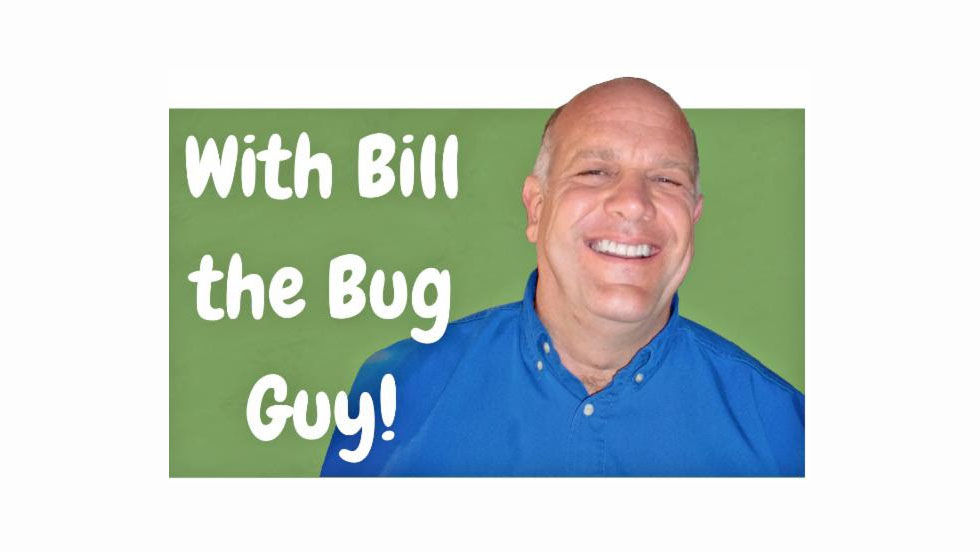 Bill the Bug Guy