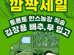 Surprise Sale! Fresh Napa Cabbage and Radish