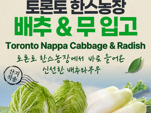 Fresh Napa Cabbage & Radish from Hans Farm, Toronto!