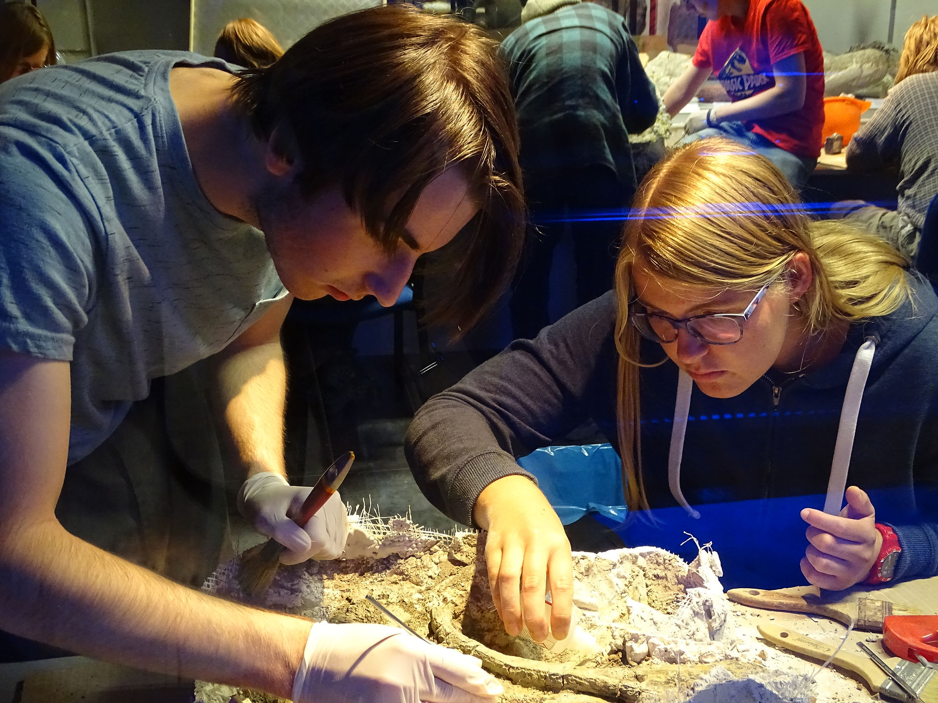 Fossil Preparation